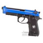 hg194 pistol blue