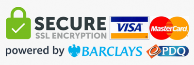 internet securaty and payments logo 100