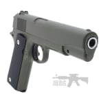 g13green4