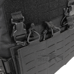 v11